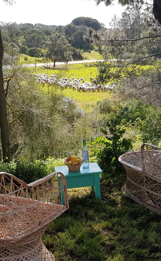 Romance Valdareina, Piscine Chauffee, Benagil-Carvoeiro Carvoeiro  Kültér fotó